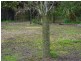 19a Howick Street, Longford TAS 7301