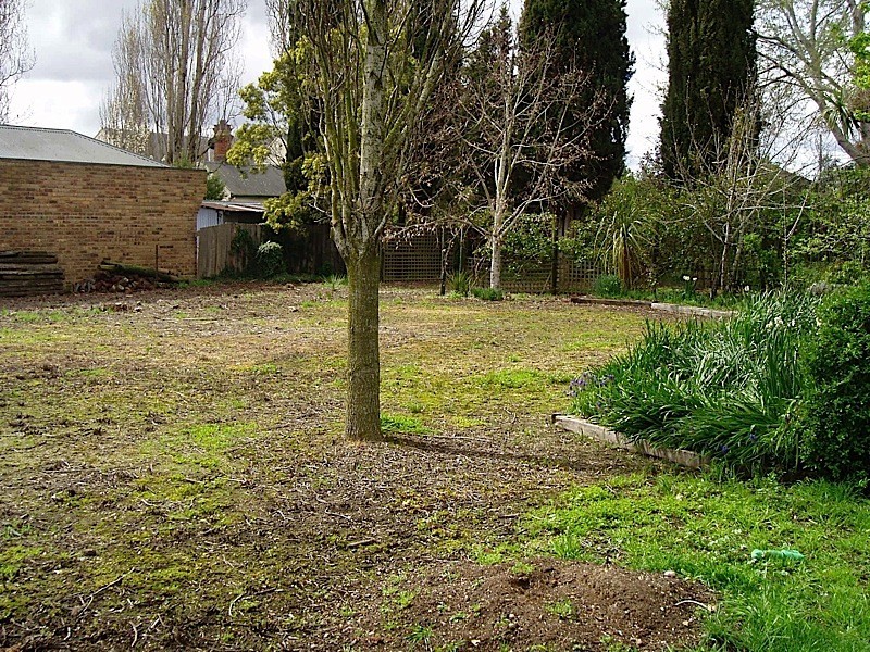 19a Howick Street, Longford TAS 7301