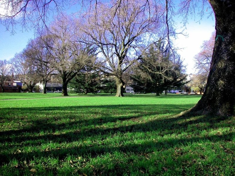 68 Margaret Street, Launceston TAS 7250