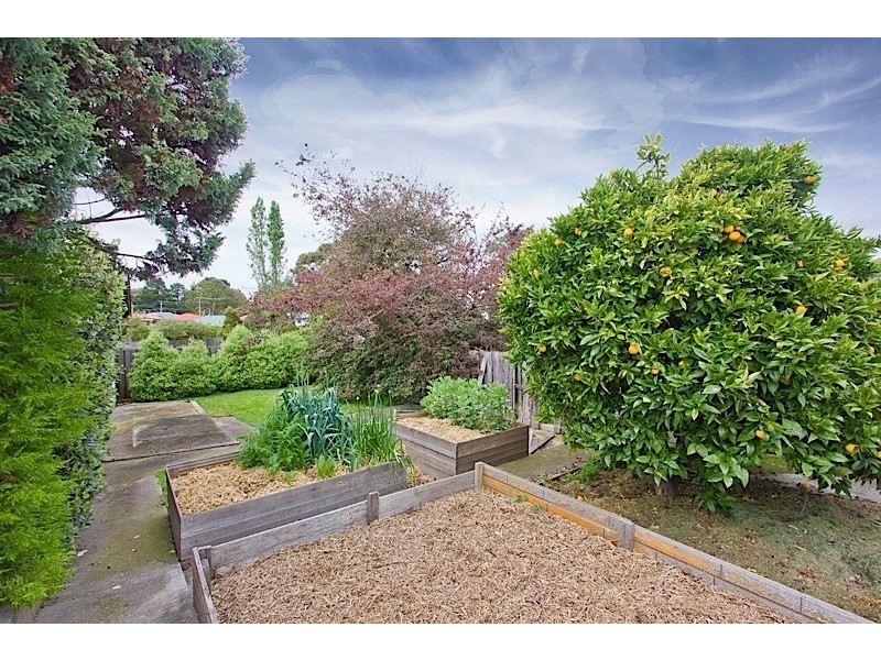 92 Punchbowl Road, Punchbowl TAS 7249