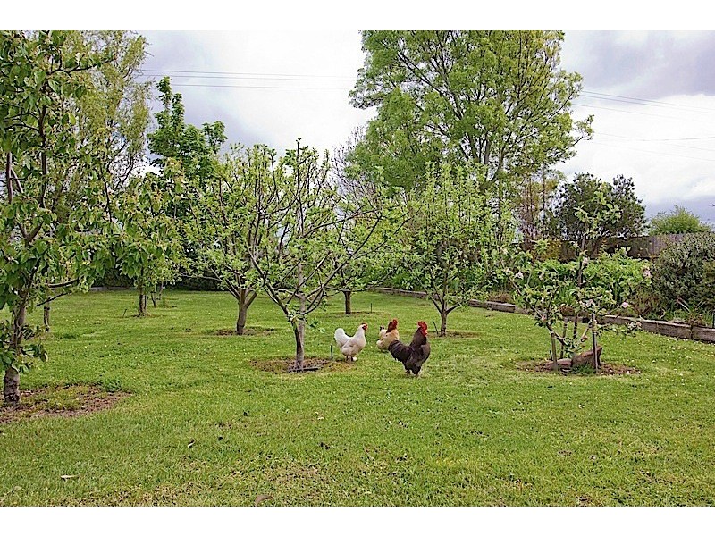 797 Nile Road, Evandale TAS 7212