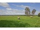 797 Nile Road, Evandale TAS 7212