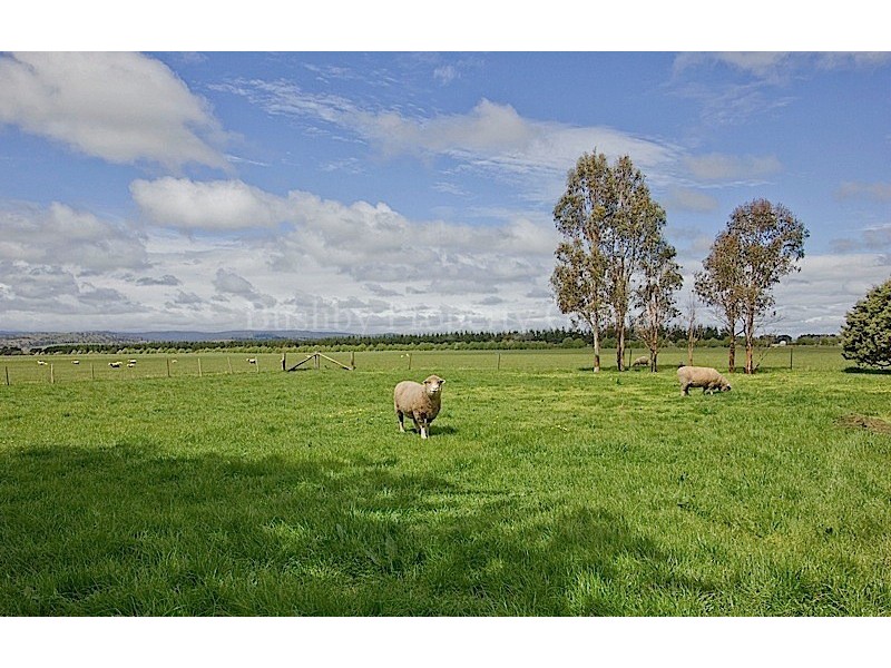797 Nile Road, Evandale TAS 7212