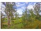 12/1a Waldhorn Drive, Rosevears TAS 7277