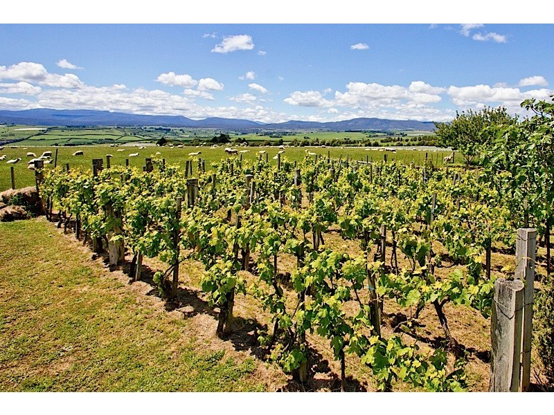 84 Trafalgar Lane, Evandale TAS 7212