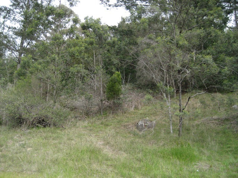 3 Orana Place, Riverside TAS 7250