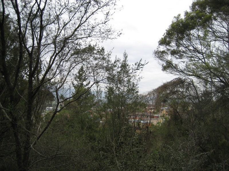 3 Orana Place, Riverside TAS 7250