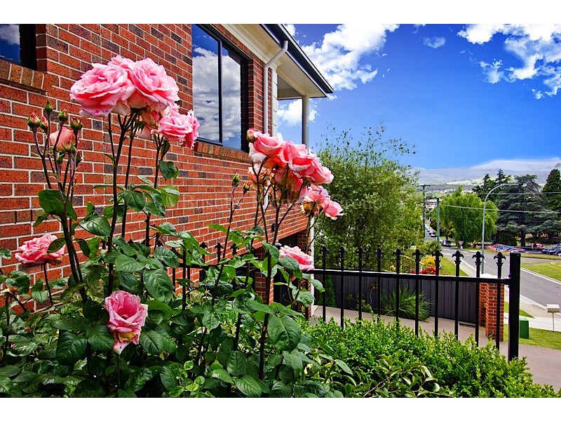 2 Harrison Way, Newstead TAS 7250