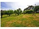 202 Windermere Road, Windermere TAS 7252