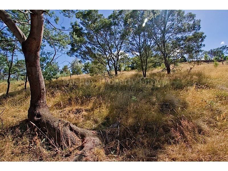 86 Panorama Road, Blackstone Heights TAS 7250