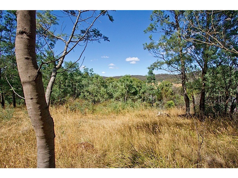 86 Panorama Road, Blackstone Heights TAS 7250