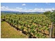 84 Trafalgar Lane, Evandale TAS 7212