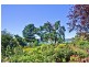 674 Deviot Road, Deviot TAS 7275