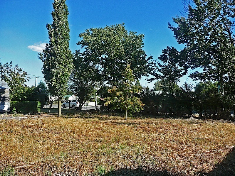 19a Howick Street, Longford TAS 7301