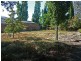 19a Howick Street, Longford TAS 7301