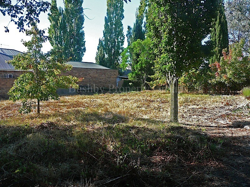 19a Howick Street, Longford TAS 7301
