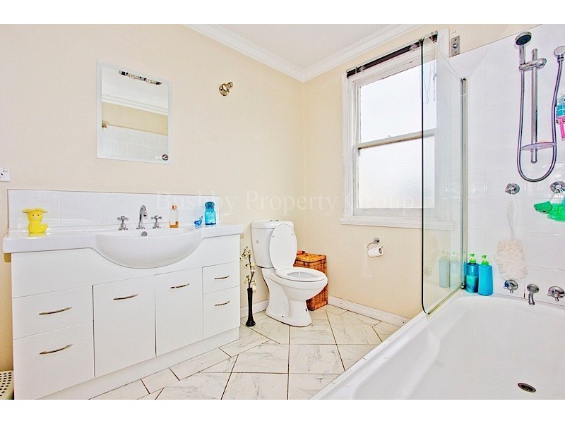 17 Albion Street, Invermay TAS 7248
