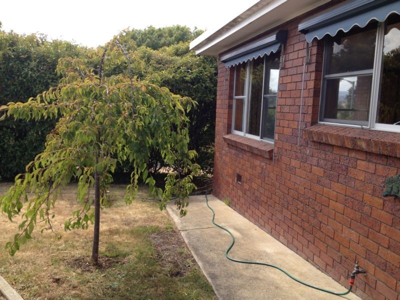 22 Beech Road, Norwood TAS 7250