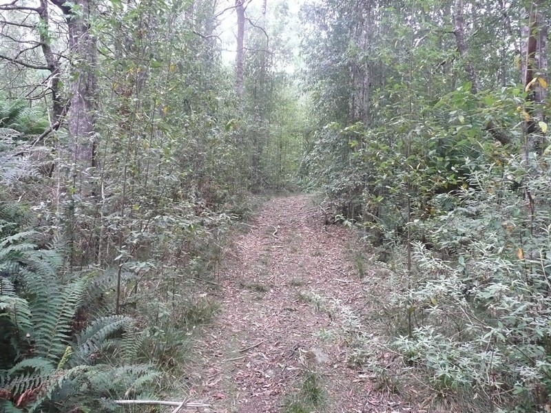 0 Bogan Road, Golden Valley TAS 7304