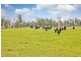 Lot 1, 0 Hendersons Lane, Gravelly Beach TAS 7276
