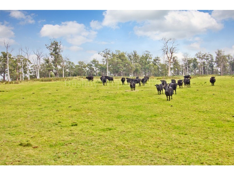 Lot 1, 0 Hendersons Lane, Gravelly Beach TAS 7276