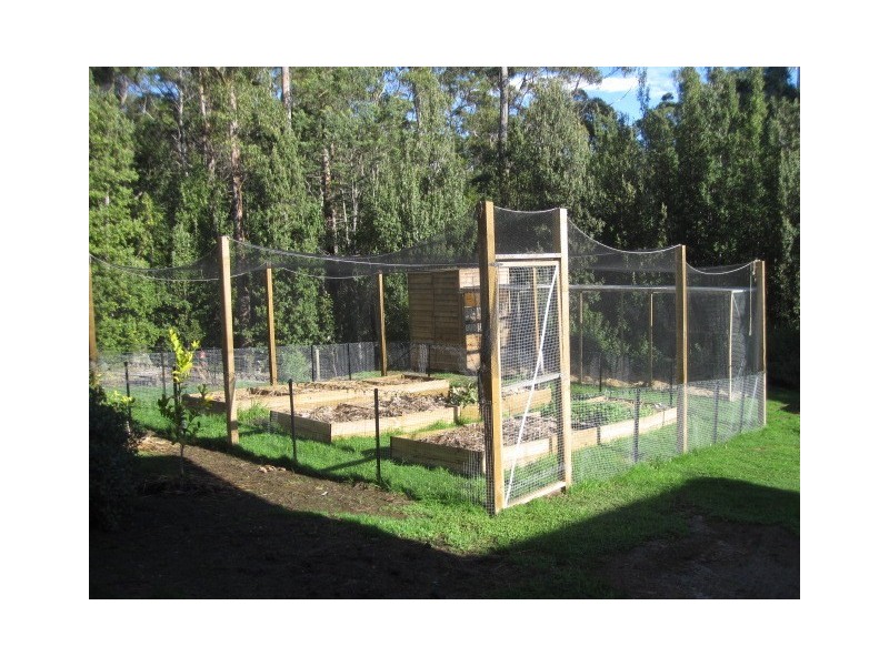 250 Mountain Road, Lilydale TAS 7268