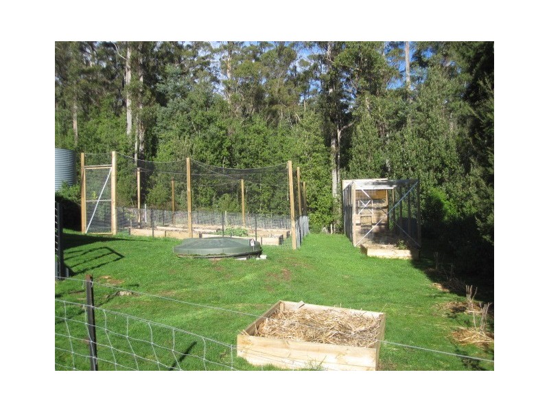 250 Mountain Road, Lilydale TAS 7268