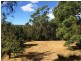 CT 63451/F 10&11 Deviot Road, Deviot TAS 7275