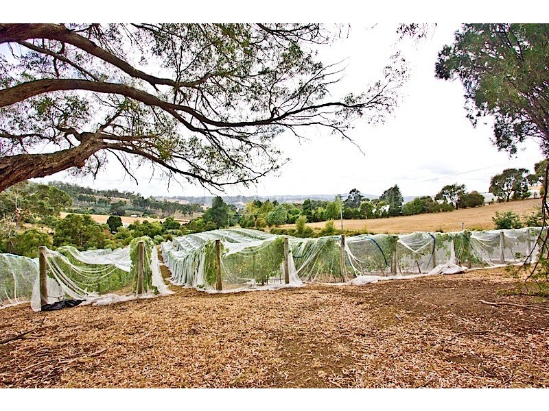 9 Craythorne Road, Rosevears TAS 7277