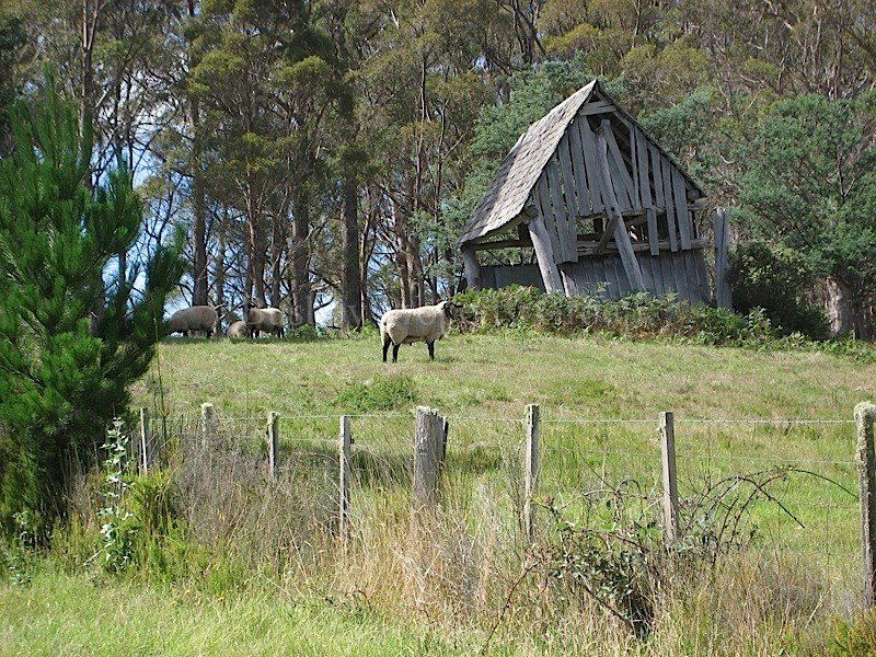 58 Gray Road, St Marys TAS 7215