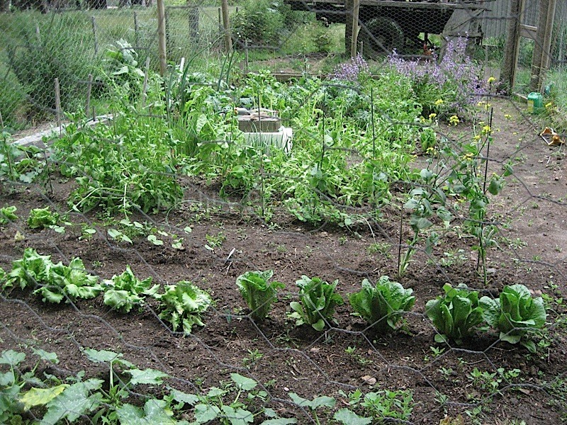 58 Gray Road, St Marys TAS 7215