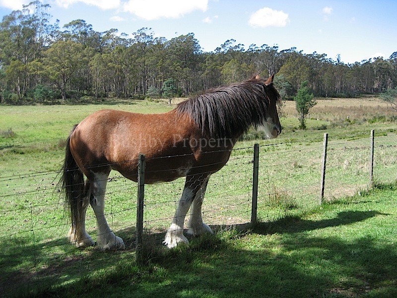 58 Gray Road, St Marys TAS 7215