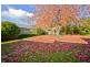 47 Amy Road, Newstead TAS 7250