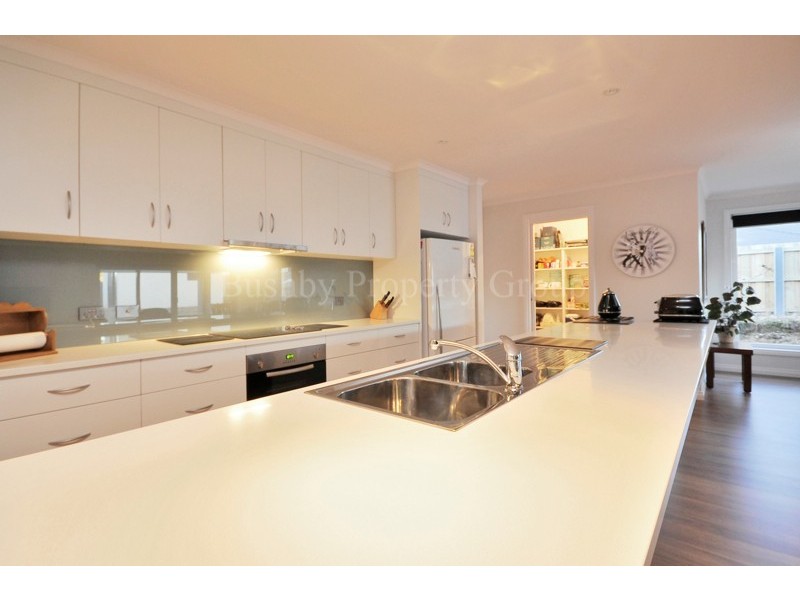 17 Hadspen Park Drive, Hadspen TAS 7290