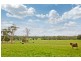 828 Pipers Brooks Road, Pipers Brook TAS 7254