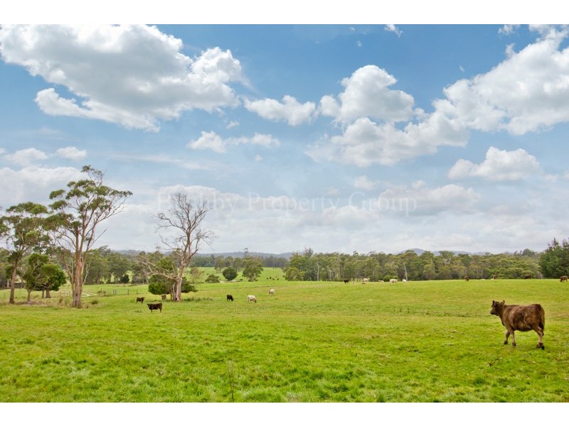 828 Pipers Brooks Road, Pipers Brook TAS 7254