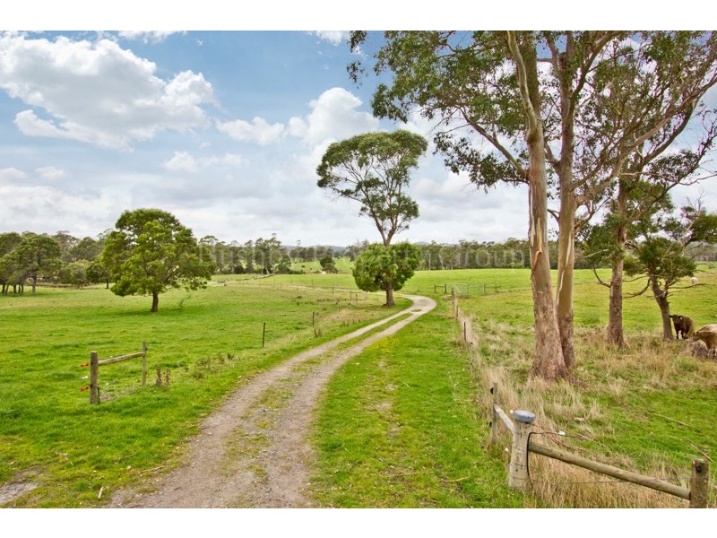 828 Pipers Brooks Road, Pipers Brook TAS 7254