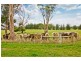 828 Pipers Brooks Road, Pipers Brook TAS 7254