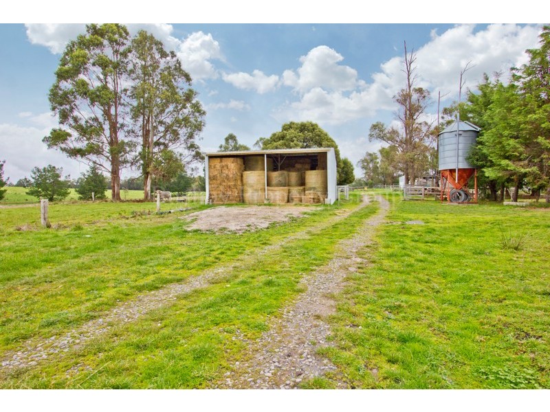 828 Pipers Brooks Road, Pipers Brook TAS 7254