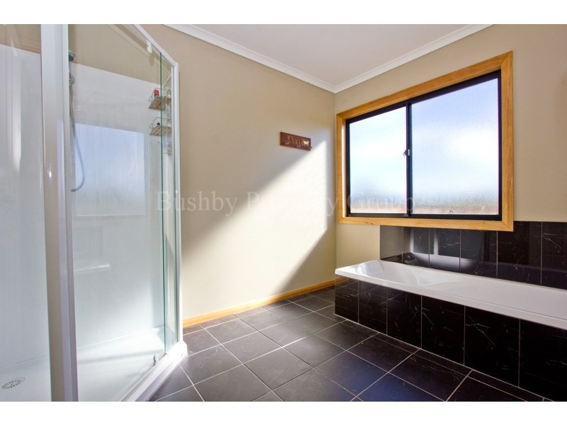 185 Lewis Road, Pipers River TAS 7252