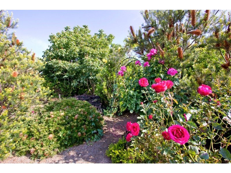 9 Brooklyn Road, Youngtown TAS 7249