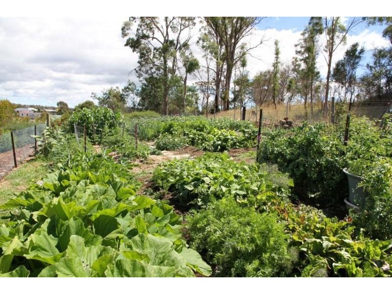 10 Longvista Road, Blackstone Heights TAS 7250