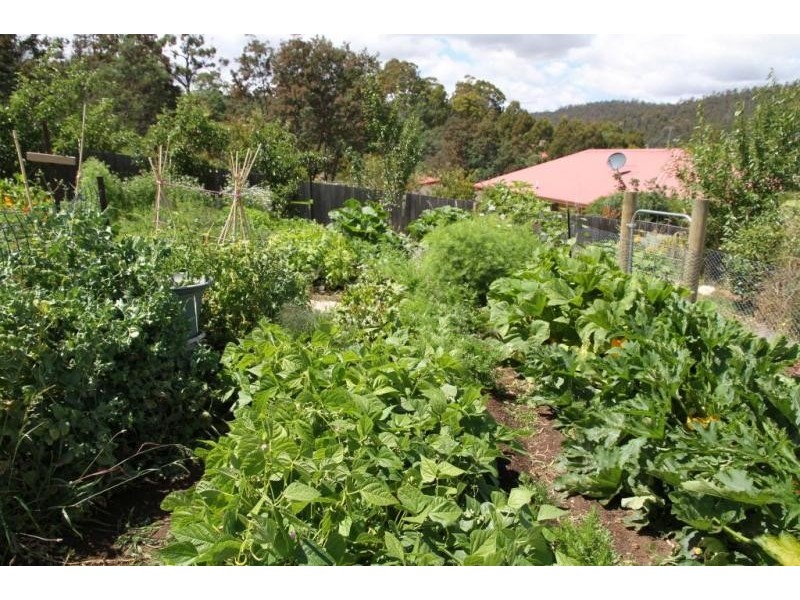 10 Longvista Road, Blackstone Heights TAS 7250