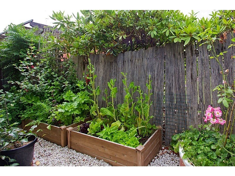 11 Naroo Street, Waverley TAS 7250