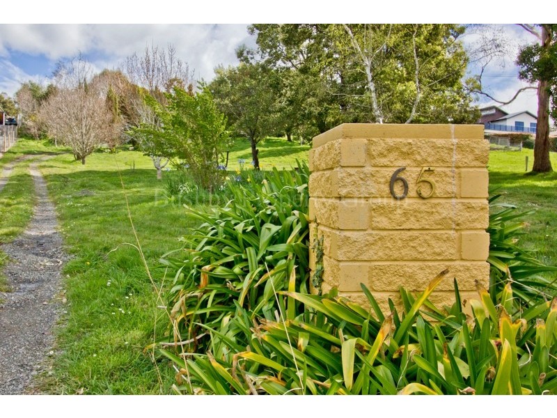 65 Dilston Road, Dilston TAS 7252