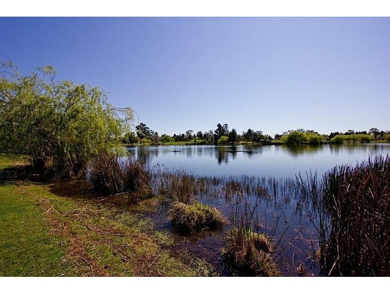 44 Alpine Crescent, Grindelwald TAS 7277