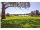 44 Alpine Crescent, Grindelwald TAS 7277