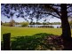 44 Alpine Crescent, Grindelwald TAS 7277