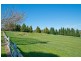 44 Alpine Crescent, Grindelwald TAS 7277