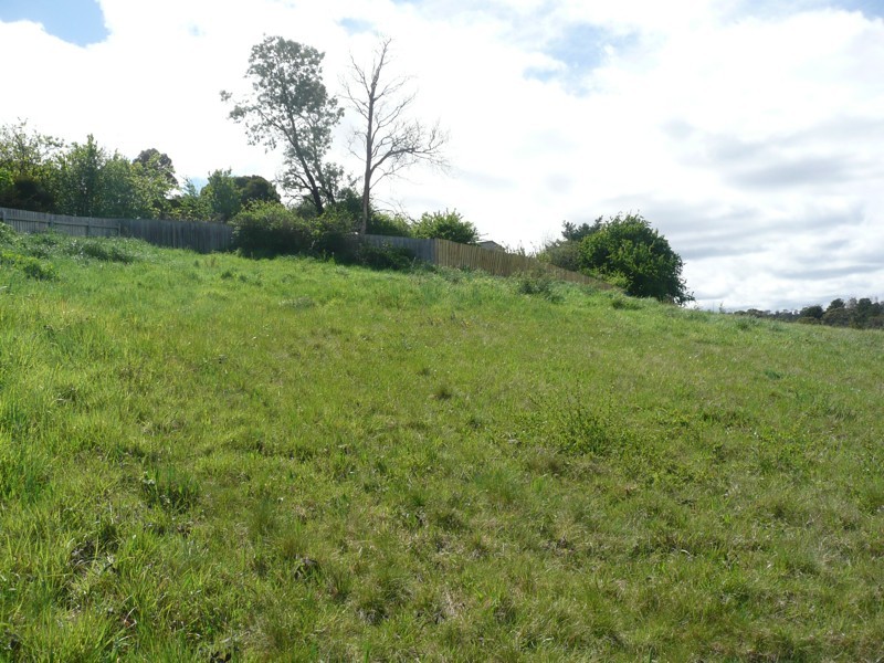 10 Meadowbank Road, Newnham TAS 7248